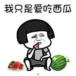 娱乐吃瓜酱考研