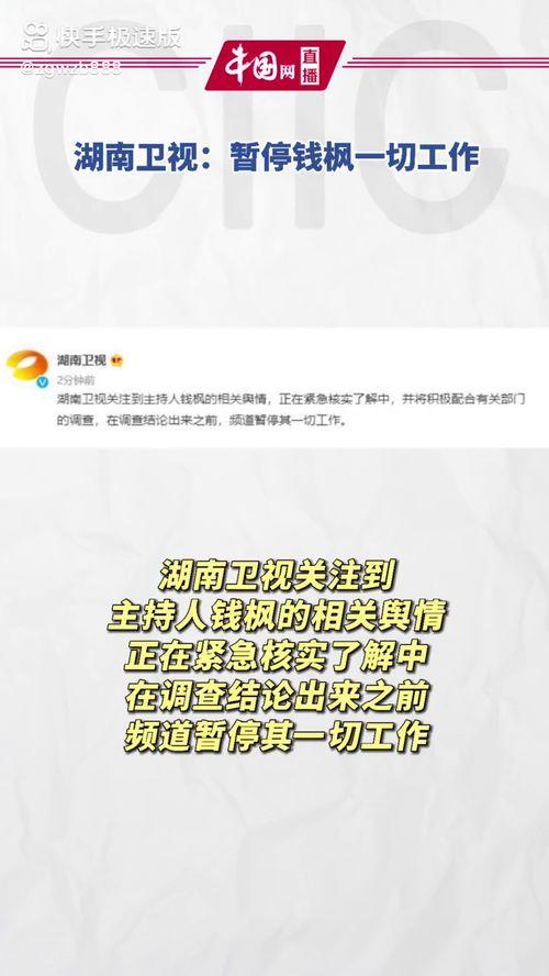娱乐圈吃瓜公众号起名,揭秘那些年我们追过的“瓜”
